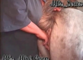 Filthy farmer licks his stallion ass