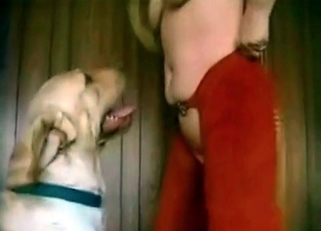 Sexy white doggy fucked her tight crack