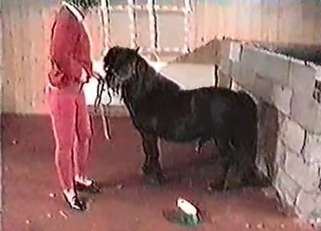 Small pony is being created for bestiality sex