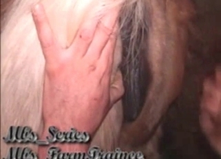 Gorgeous rimjob for an awesome horse