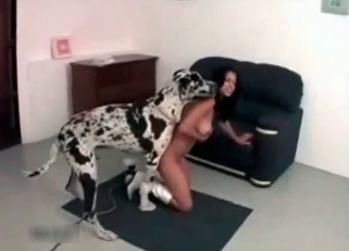 Toned young doll nicely fucked by doggy