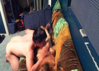 Stunning doggy sucked nicely by male