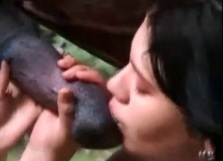 Two brunettes are enjoying stallion dick