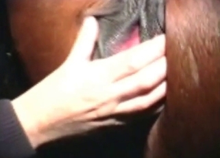 Stimulating and rubbing horse pussy in barn