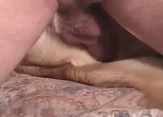 White doggy has a very tight hole
