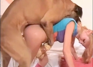 Big doggy fucked her small wet muff